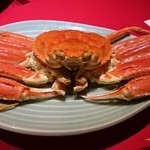 かがり吉祥亭 - ズワイ蟹