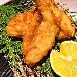 東京十色 - フグのから揚げ（3,998円）