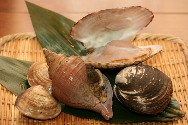 料理メニュー 浜焼太郎 手稲店 手稲 居酒屋 食べログ 料理メニュー 浜焼太郎 手稲店 手稲 居酒屋 食べログ