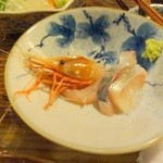 源氏 - シマアジと海老の刺身