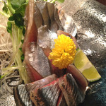 寿司海鮮 御旦孤 - アジお刺身