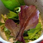 ごはんや　はなはな - 草津　太郎園産有機野菜