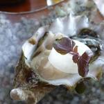 SIERRA MAR - 生牡蠣