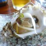 SIERRA MAR - 生牡蠣