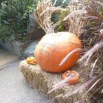 SIERRA MAR - 外観　レストランの入り口