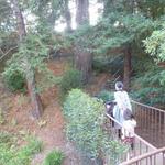 SIERRA MAR - ホテルのチェックインからレストランへ