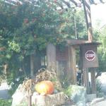 SIERRA MAR - 外観　予約のチェックが・・