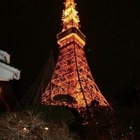 東京 芝 とうふ屋うかい - 庭からの風景　過去の訪問時