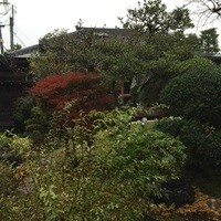 リストランテ カーザ・アルべラータ - 