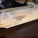 う越貞 - 白甘鯛　4.5kg　愛媛県八幡浜