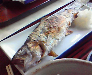 大川戸つりぼり name=