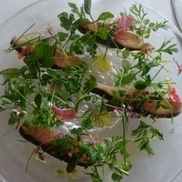 アロマフレスカ - 軽く炙った鯖のカルパッチョ仕立て カラスミ風味