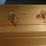 寿し おおはた - 