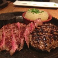 听屋 六本木 - きたー（＾ν＾）