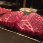 SATOブリアン - 2015/11_ヒレ