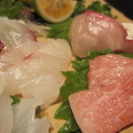 魚心 - 刺盛、おまかせで