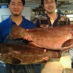 A huge fish weighing over 30kg has arrived! Nagasaki wild live-killed grouper (ara) hotpot!