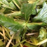 旬彩テーブル GALLERIA