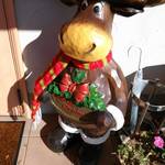 シャロン - クリスマスマスコット。