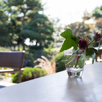 GIRINO - 窓を開放しているのでオープンエアな店内