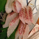 炭火焼　鳥うお - 刺し身