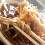 そば切 雨耕庵 - 蕎麦は極太