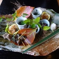 伊勢宮川の里 鄙茅 - 八寸