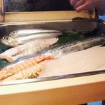 SUSHI GONPACHI - 