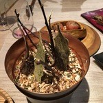 レヴォ - レヴォ