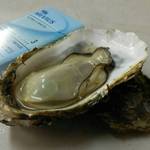 かき小屋本舗 - デカ過ぎるっ⁉