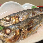 秋葉原旨い魚と焼酎.地酒 美味研鑽 TETSU - 釣り鯵 アップで！