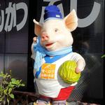キャベツを抱えた豚が出迎える