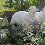 キャトルラパン - 