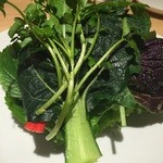 ほうば - チャプチェ用の葉野菜♩