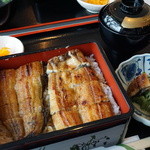 うなぎ屋 源内 - うな重