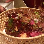 日本料理 楽心 - 