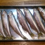 太郎 - シシャモです。通常、シシャモって「シャペロン」って魚です。これは本物！なかなか今手に入らないらしい。右がオスで左がメスです。