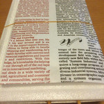 なかがわ - イカ天