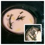 サーラ ビアンキ アル・ケッチァーノ - キリン藻とかいう海藻。味は特に無し。周りは蕪と牛乳だそうだが、牛乳感が強かった。