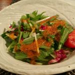 しらかわ - サラダ