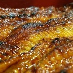 うなぎ 魚政 - 坂東太郎特上