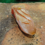 日本橋橘町　都寿司 - 7月の金目鯛