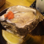 ずぼら - 2010/07お隣さんの岩ガキ