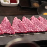 SATOブリアン - シャトーブリアン