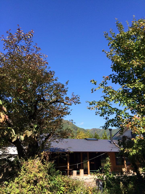 魚園大倉 - 養鱒公園（郷土料理）の写真