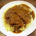 カレー専門店 ビィヤント - ビーフカツカレー辛口