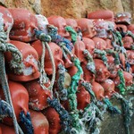 民宿みはらし - タコ壺がいっぱい(*´∀｀*)