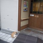 Mitsuwa No Korokke - 店先に看板にゃんこがいます