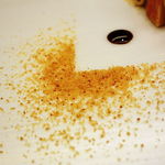 レストラン ラ フィネス - フォアグラ