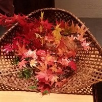 日本料理 幸庵 - 八寸〔15/11/14撮影〕→楓は富士山麓のもの